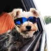 Dog Goggles Small Dog Sunglasses UV Protection Big Cat Glasses Fog/Windproof Outdoor Doggy Eyewear with Adjustable Band for Small Dogs - Yellow