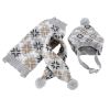 Autumn-Winter Vintage Jacquard Dress for Pet Dogs - Gray scarf+capM