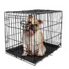 Double-Door Folding Metal Wire Dog Crate with Divider; Large; 36" - 1-door - Metal, plastic