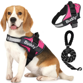 Pet Clothing Dog Couple Chest Strap Rope (Option: Pink-S)