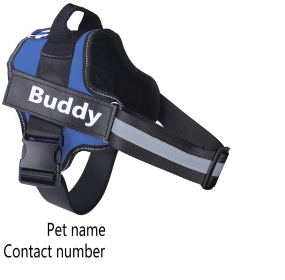 Dog Harness No Pull Reflective Breathable Adjustable Pet (Option: Blue-XL)